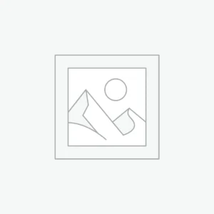 Vintage Leather Handbag